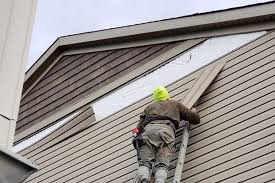 Best Vinyl Siding Installation  in Rockford, IL